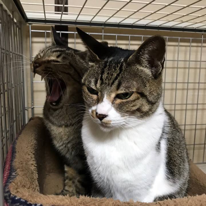 18799a50 eaf1 49e8 8c23 759a5ae68a75 1517535058893