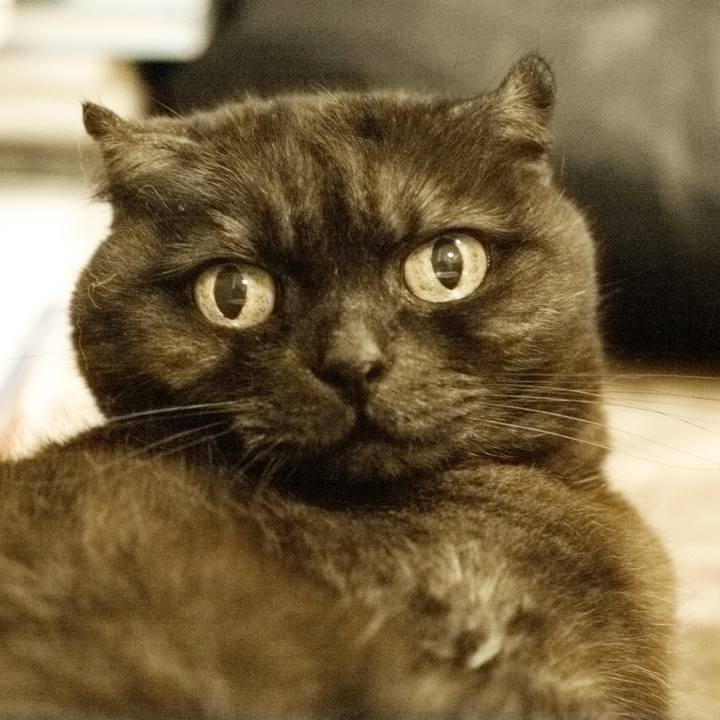 1879a6b5 fa36 45ed b9be f020179ae20b 1617026407233