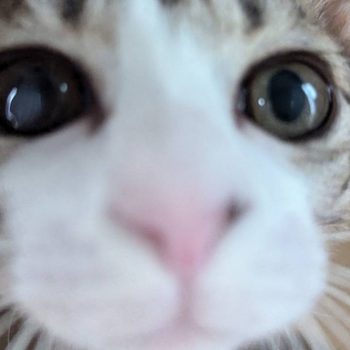 1879b330 9c08 47d4 96fc 7d5361e8f4fb 1730519218878