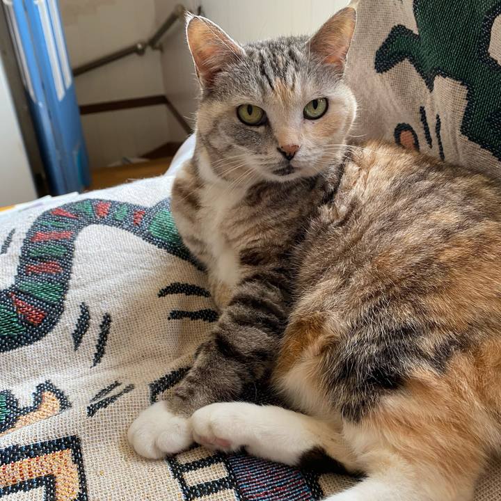 1879ca24 1af1 4bd0 854c 5bde13a6b467 1712972150786