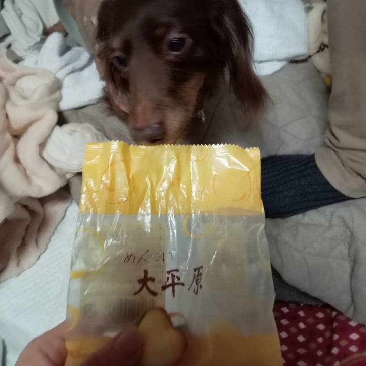 187a0427 e445 4dd1 ad98 ef58c6823f5e 1768858616376