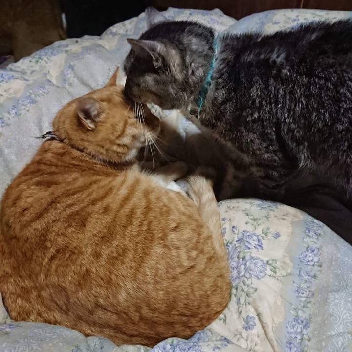 187a1105 26e6 4e32 935c b235b74507da 1607686487929