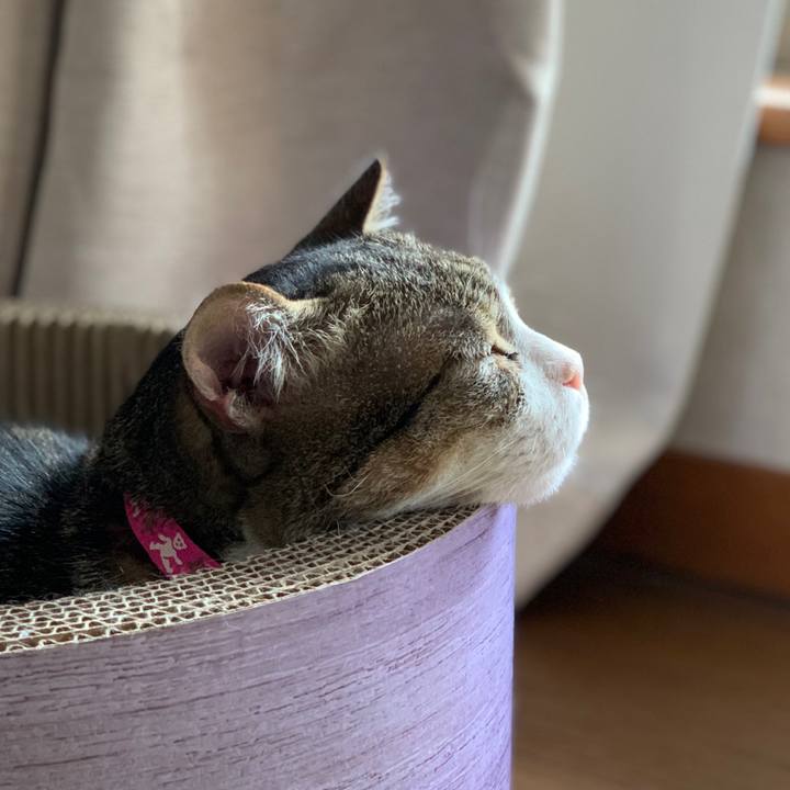 187a1531 f5f5 4b72 b3b0 a63c3377d62e 1632403399646