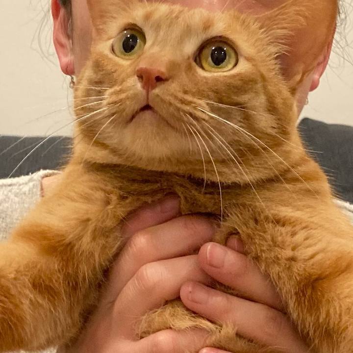 187a36f7 3595 4879 96e9 304d45e61d8b 1616326418947