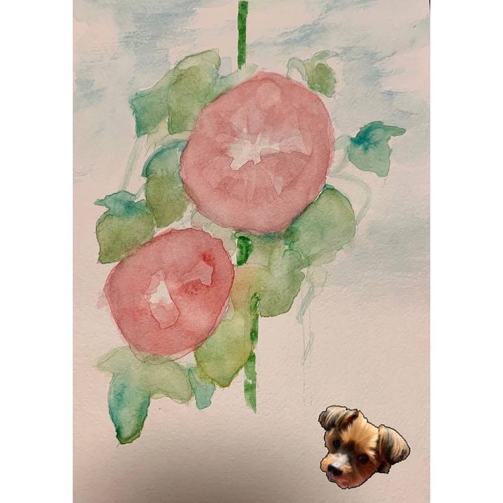 187a45cc a70d 43a4 8388 e2404f9e5e3a 1629974453921