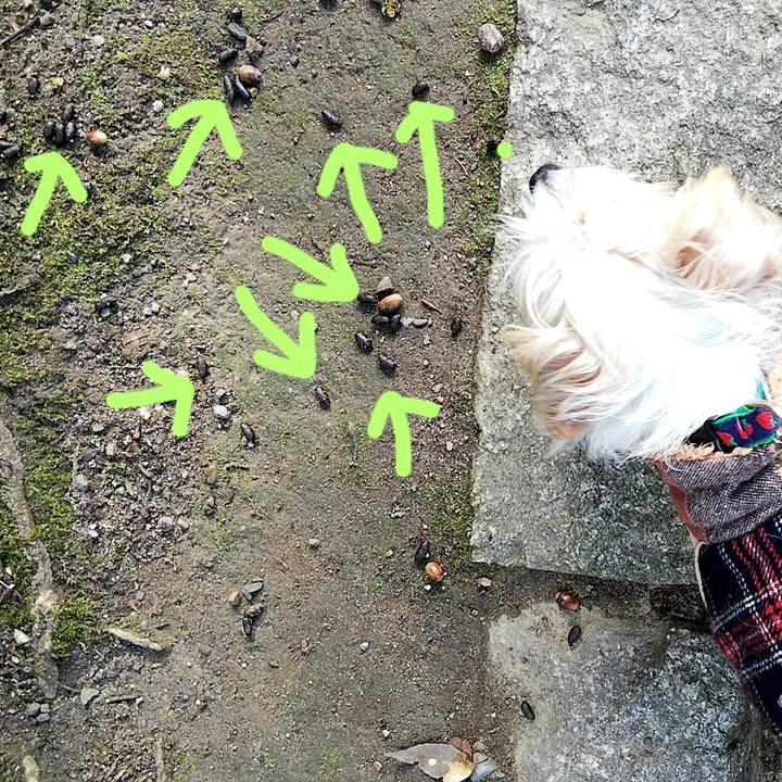 187a48fa 04af 4a29 9338 05341f137898 1578201434631