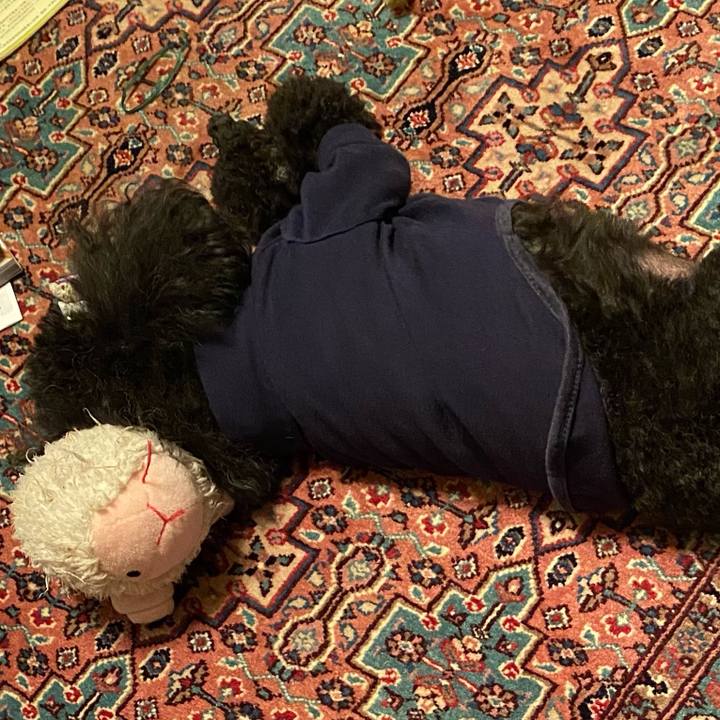 187a681c 824b 43e3 9065 afe6e7a6d3ff 1619781003753