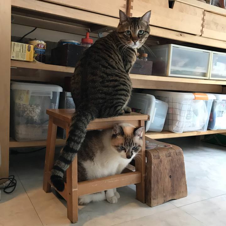 187a6e32 ffb1 4b30 9efa 44bf303076d8 1515464840158