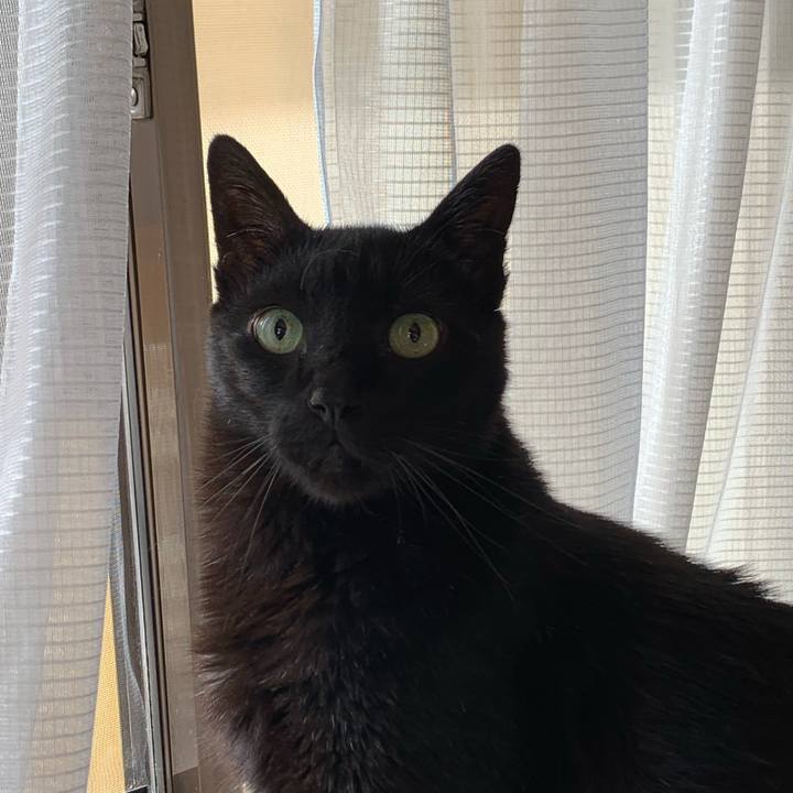 187a9531 f0bd 4bd0 bac1 26480d5fdae4 1590455680643