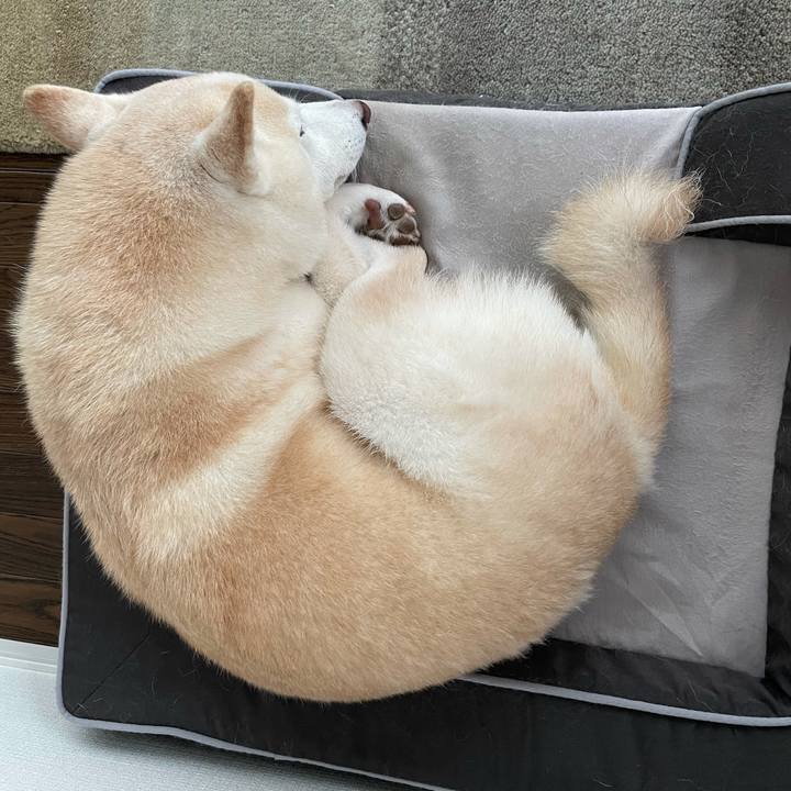 187aa55c a2c3 4c4a 97b6 03ddde54bcee 1630530331990