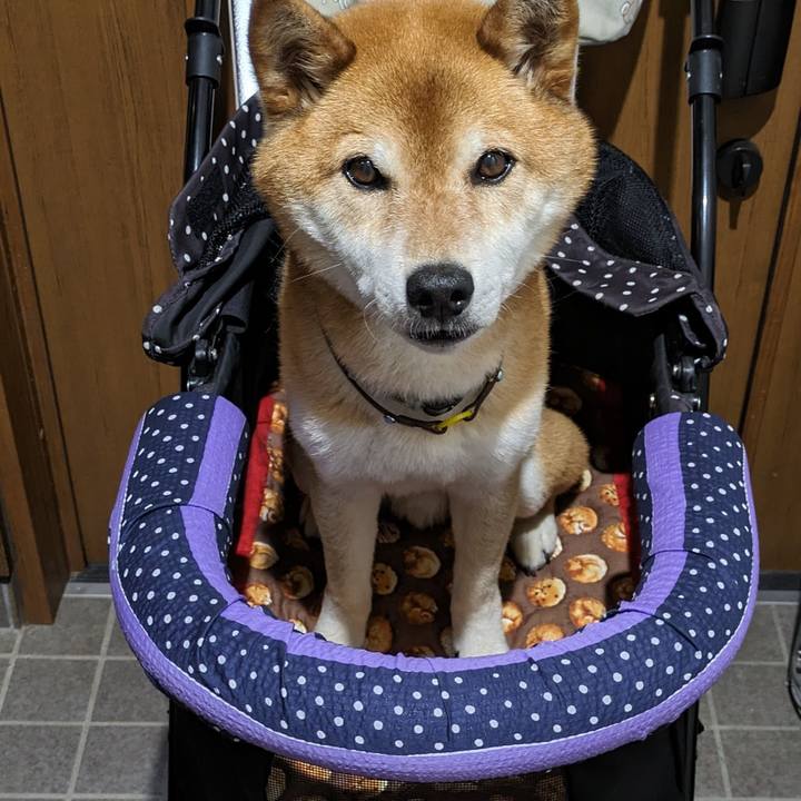 187aacff 3518 4612 956d a01c838bb560 1716028565142