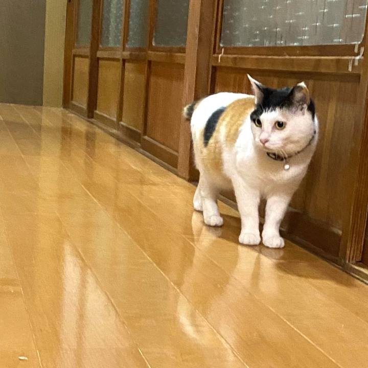 187aaf6c e33a 49ea 8e71 671f4e618822 1652795214294