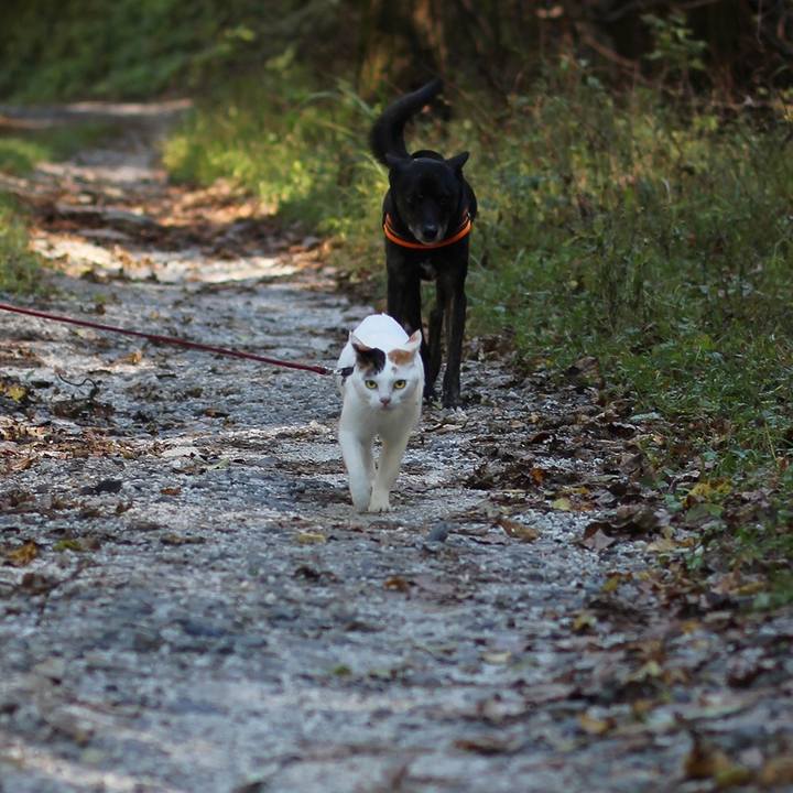 187ab789 351e 4d8f 9f0d d9fbbcb95a18 1607342031719