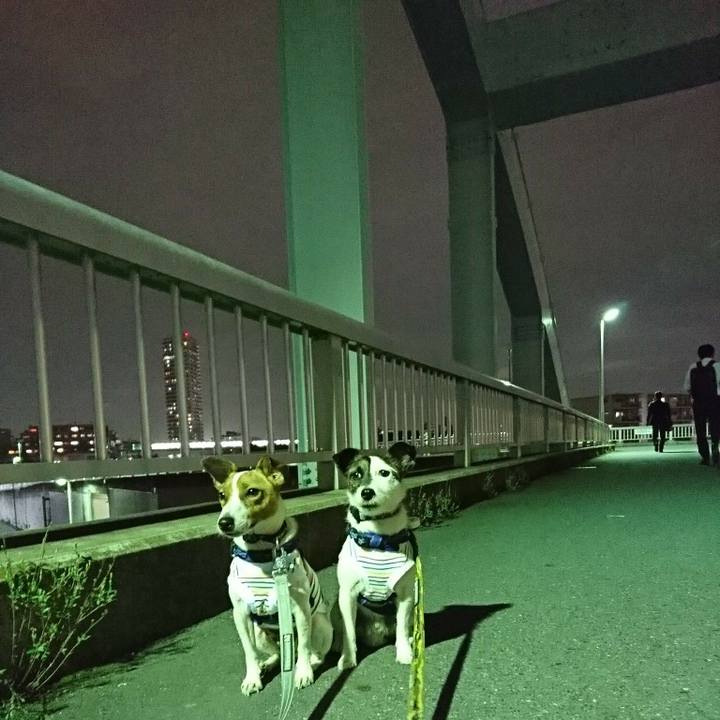 187adcce 17c3 4d1d 84d4 dd4562fe3473 1528977672020