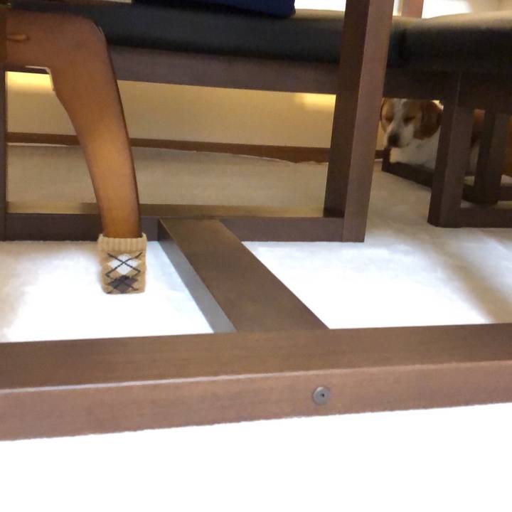 187aef83 9cbd 4a91 919a 13bf979cd6f6 1619865278748