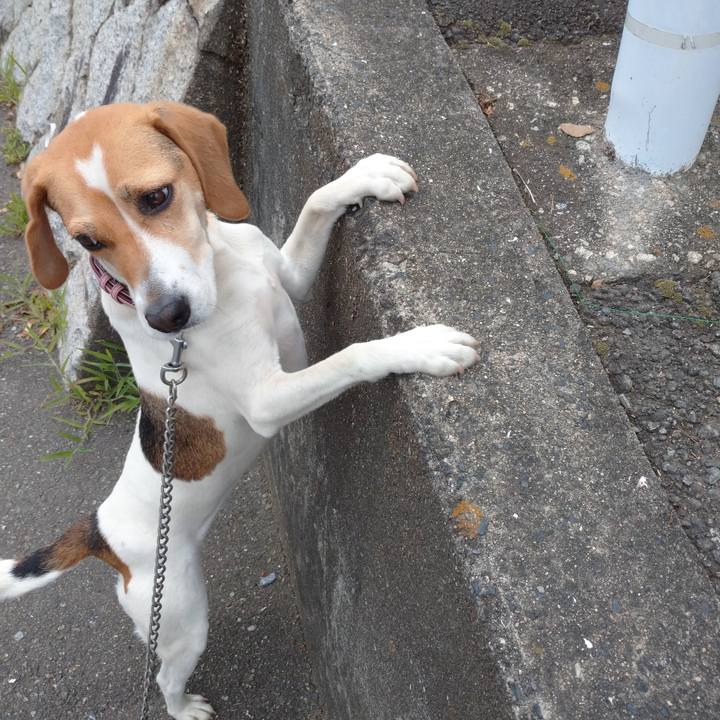 187af5af 6782 4190 9089 dad1b2ec5f14 1592193061137