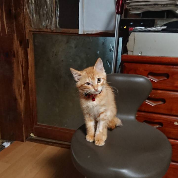 187b28e4 7c9b 4386 ae35 11f49bae9254 1629404695342