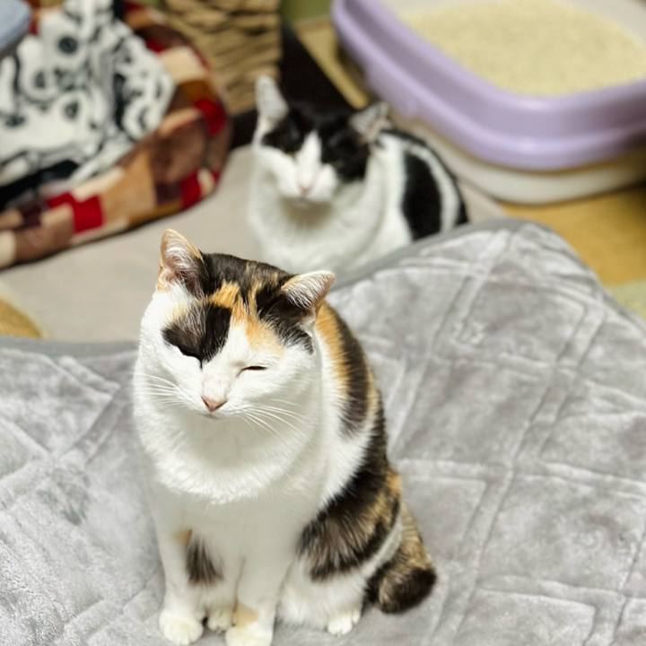 187b2c57 6686 4ca7 89b3 14da18a7c09f 1702776622309