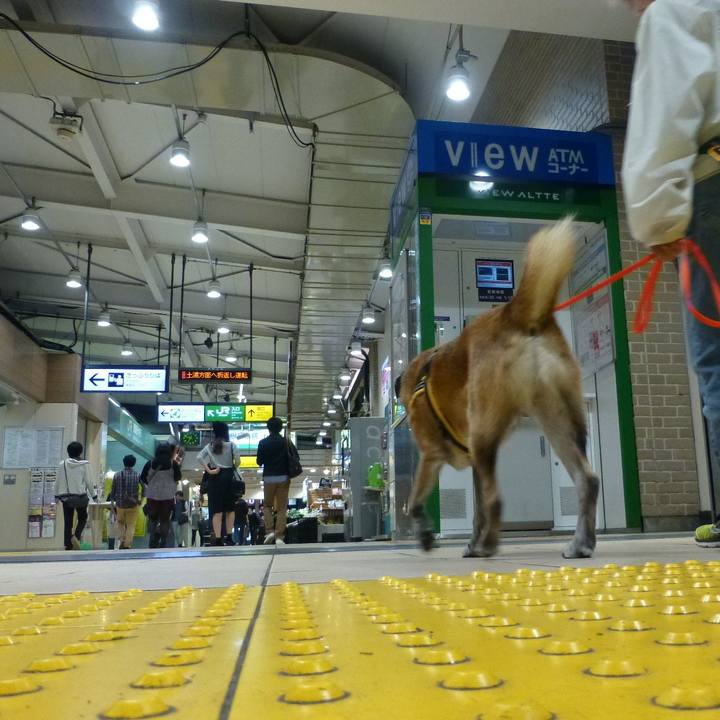 187b3ca6 4a19 4fd3 b711 39f49be13527 1580893091948