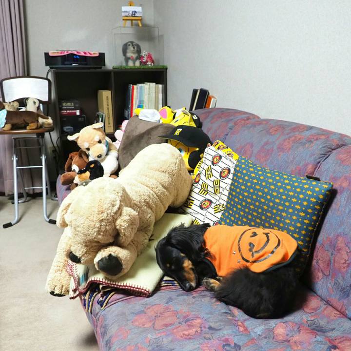 187b51a1 1172 4cd2 beb9 056bb0e15e7e 1551861540812