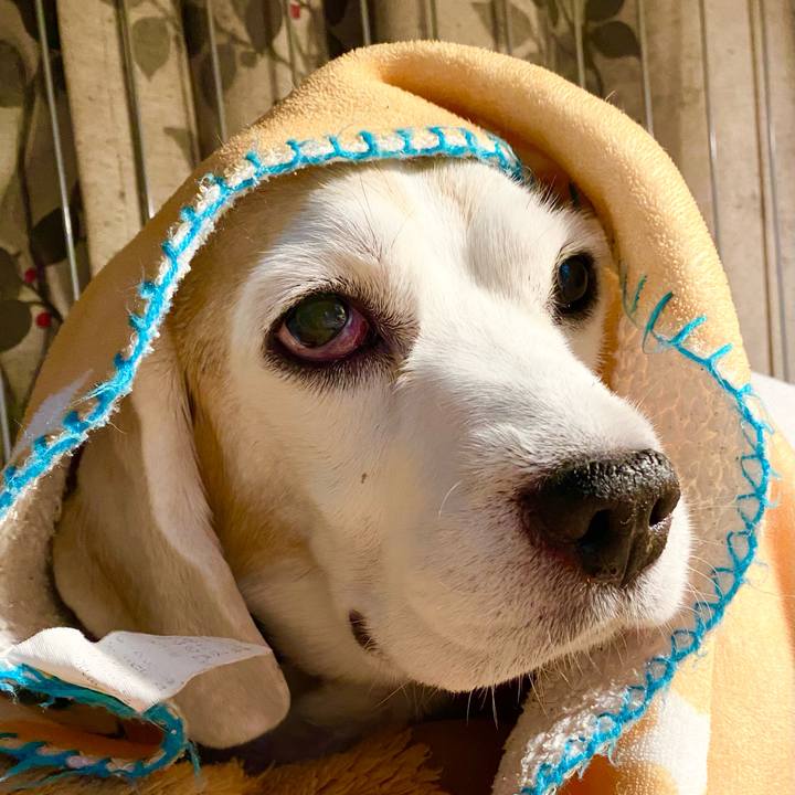 187b5ff7 cc06 4c8f 84bf 6bbce801ce35 1667206409061