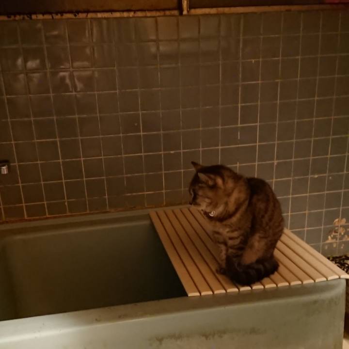 187b7af8 9663 4bcc b1b0 15af064133ce 1572426371039