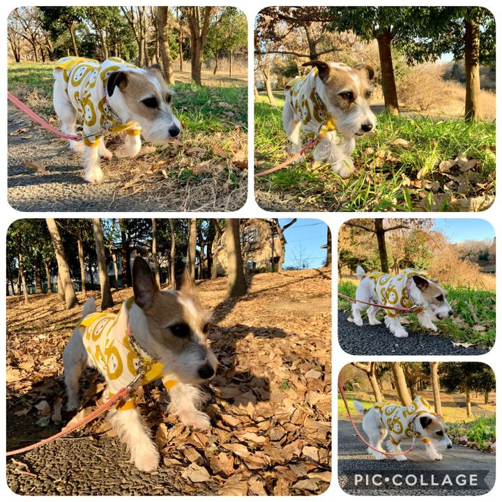 187bcb51 03ba 4031 8243 0565983e28bb 1608708912965