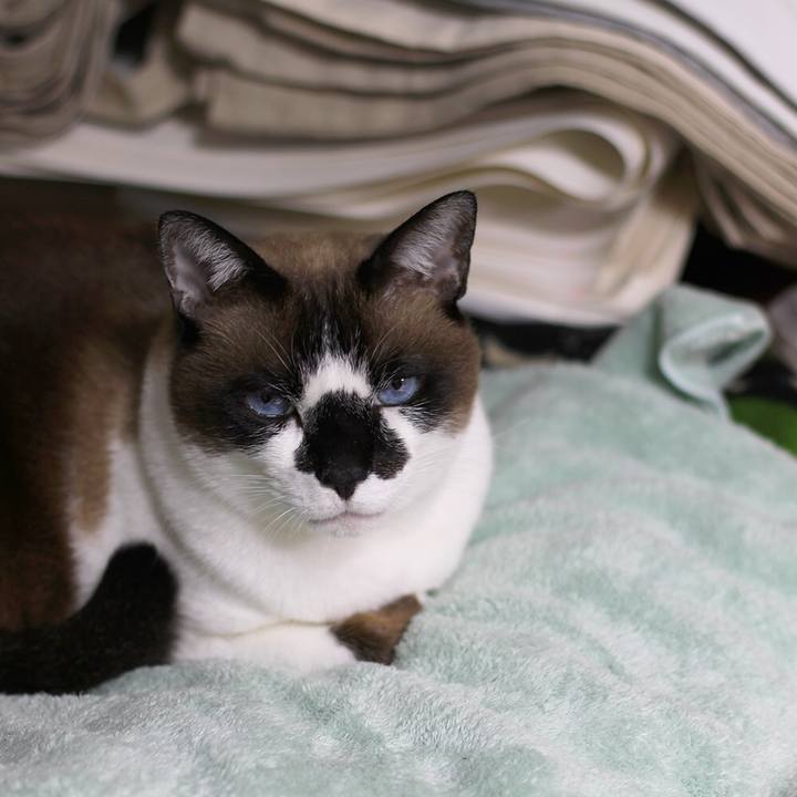 187bdf58 3aab 4689 a960 2cd849e08fcb 1511185847920