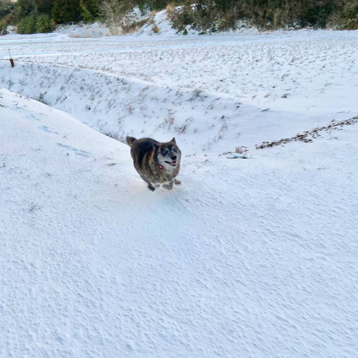 187bf3b8 211e 47d3 aaeb db491934c5c3 1640564817473