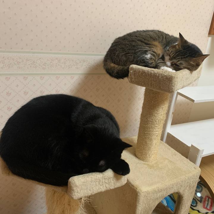 187c46c0 2b11 4913 8a5d 79d313dc1086 1653751620590