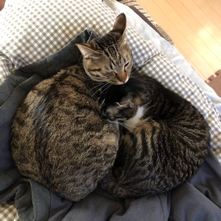 187cc37e 4736 41c6 b27c 6325280f732b 1518089914391