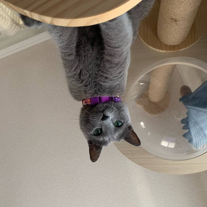 187ccc95 9c04 45d3 9dd4 7def5ec530f4 1656034810734