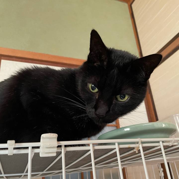 187cdcea a174 40d3 bbad 2f18adbd4aac 1611020664619