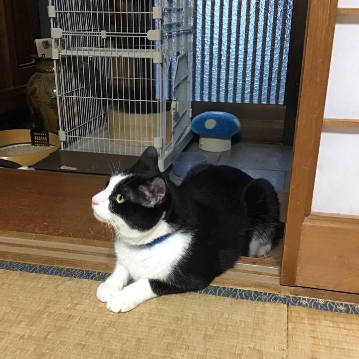 187d06db b5c8 43b8 a399 32b67afb2831 1753963984764