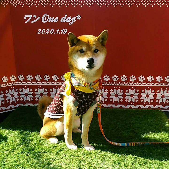 187d0947 1659 42aa b70b f53ee3849037 1579436246257