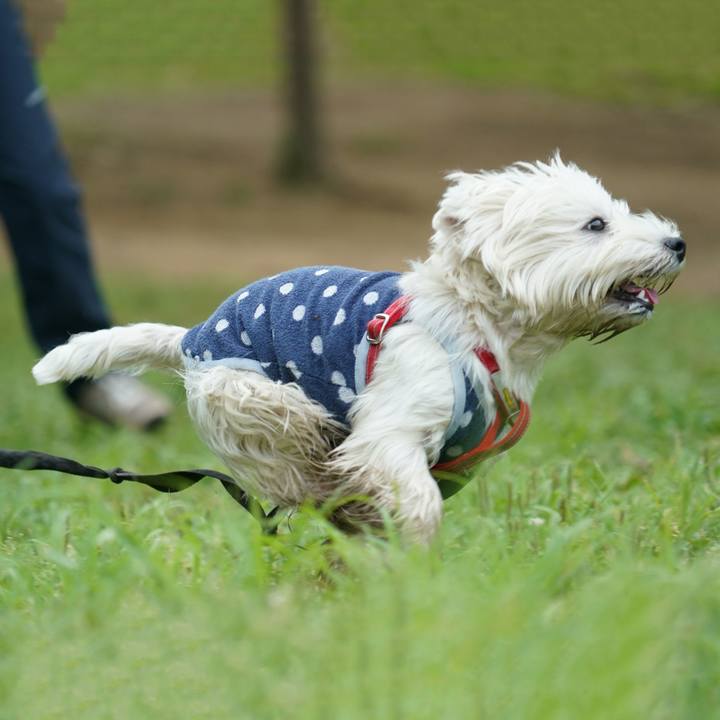 187d5ce1 bd26 49ac 9d94 620d046bdba2 1527082452684