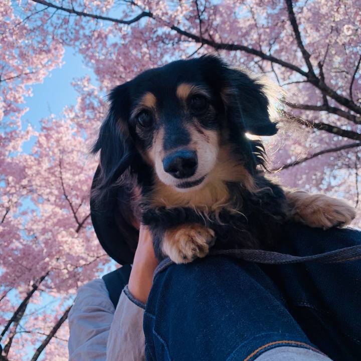 187d5e1d d571 42fd 850b f91932c3824a 1680573676743