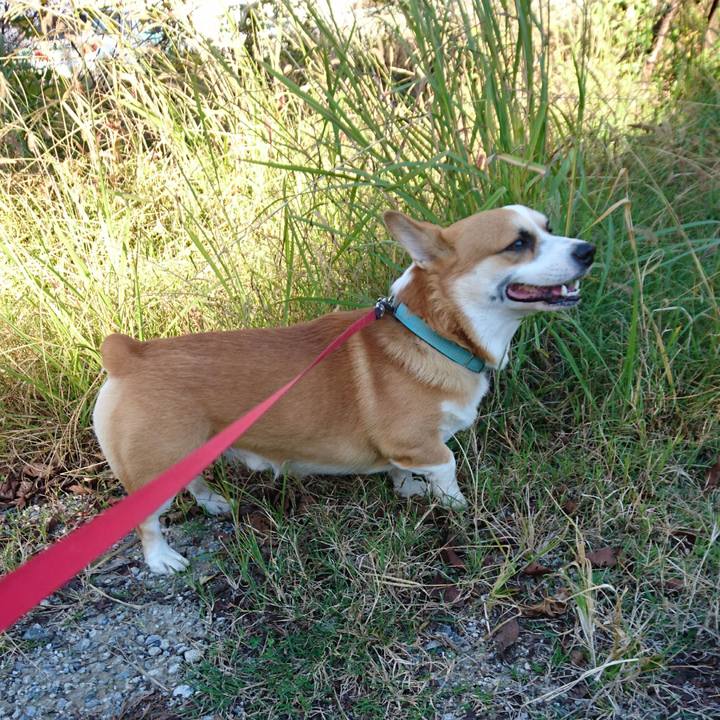 187d82f9 1d74 4f4f bec0 29f46f18cdc9 1606177875517