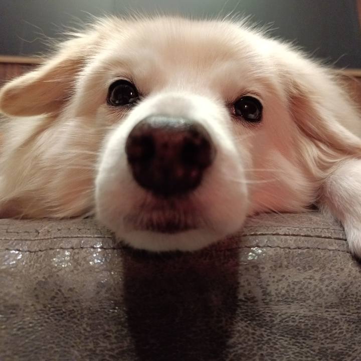 187dffb7 9f89 4342 b814 6696d2c3f4af 1707561950370