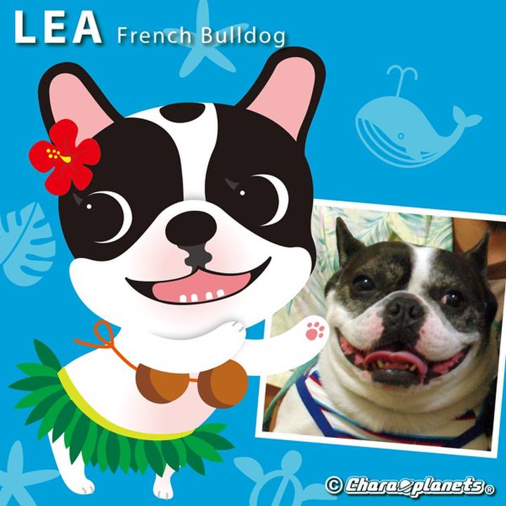 187e1899 9640 4395 97f0 84c42f1a235c 1563158292022