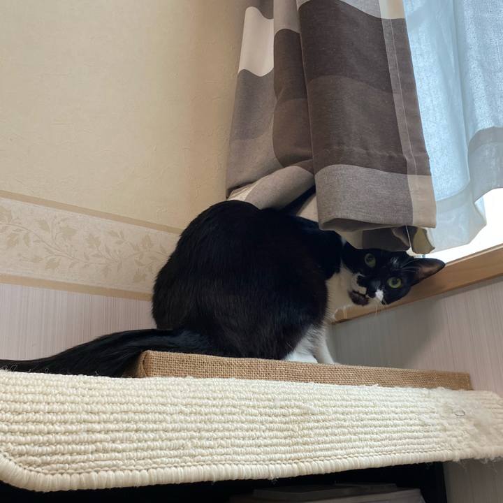 187e2c2e be61 4ef8 b61f b325f6a933e2 1663480491592