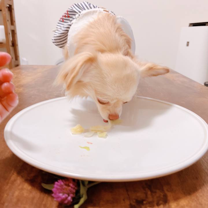 187e310c 4d11 46d7 8ee8 e35e534df27b 1651814082815