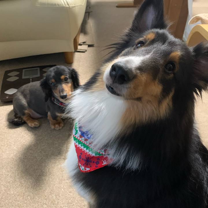 187e3ccd 7114 415b a6cd 51e373d69356 1607843297320