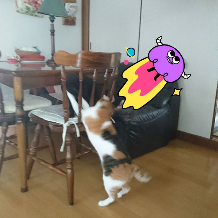 187e85e9 81f1 45c8 a403 f23091551f30 1534606905944