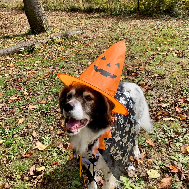 187ed10b 9fe7 4eb9 8394 24b2abda9de3 1604130934836