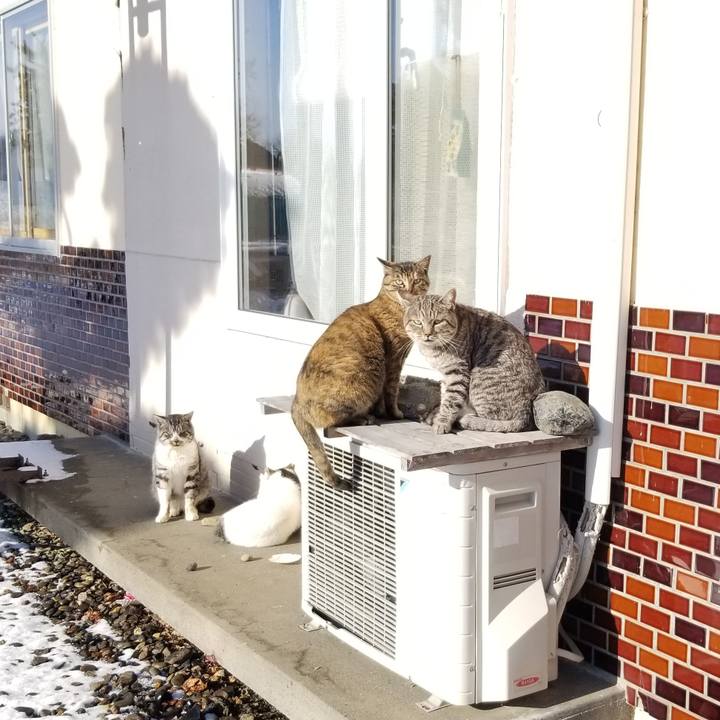 187ee0f5 b91e 483a afd4 60c2f1982eef 1670602411350