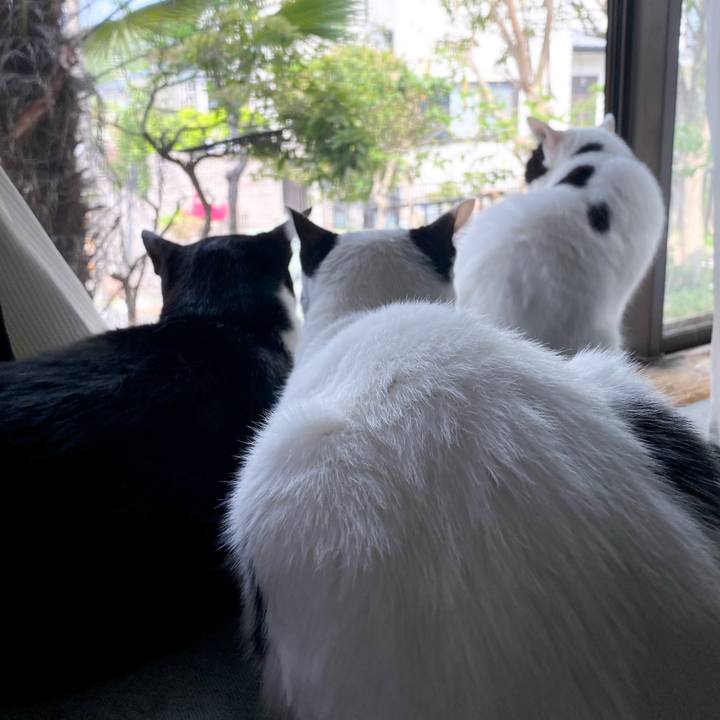 187ee688 f6bb 4753 a05d 636bbf3a4e8c 1650673784192