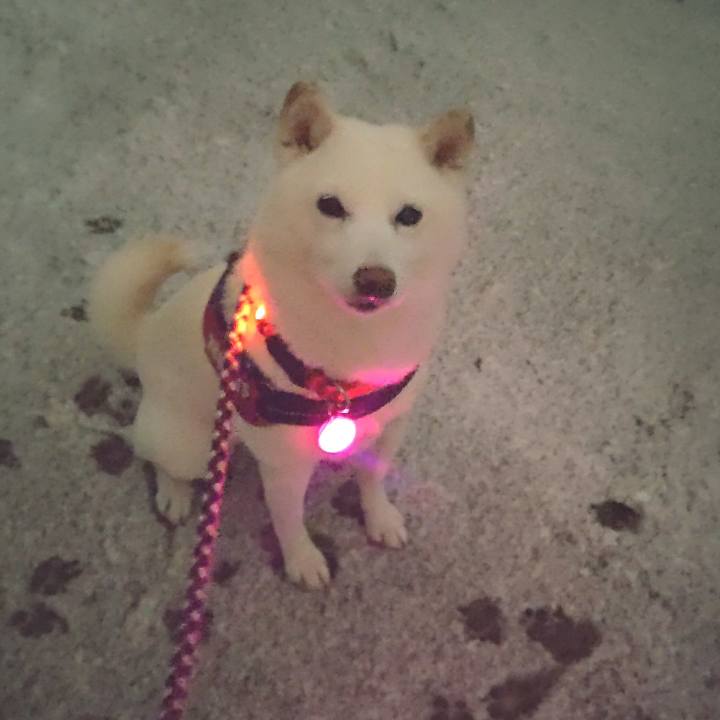 187eebe2 b49c 45f0 9fa0 6cc5e066bec9 1640422544885