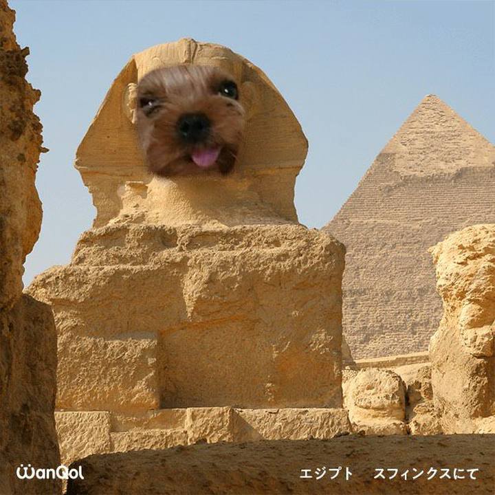 187ef982 cea1 4a0f bfe0 e9f0bb487d04 1615193880864