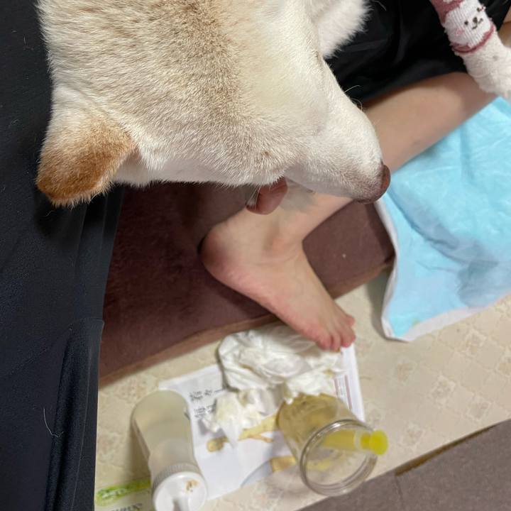 187f05fa 6a6b 41b0 aaee 5646bd00c5be 1690680288264